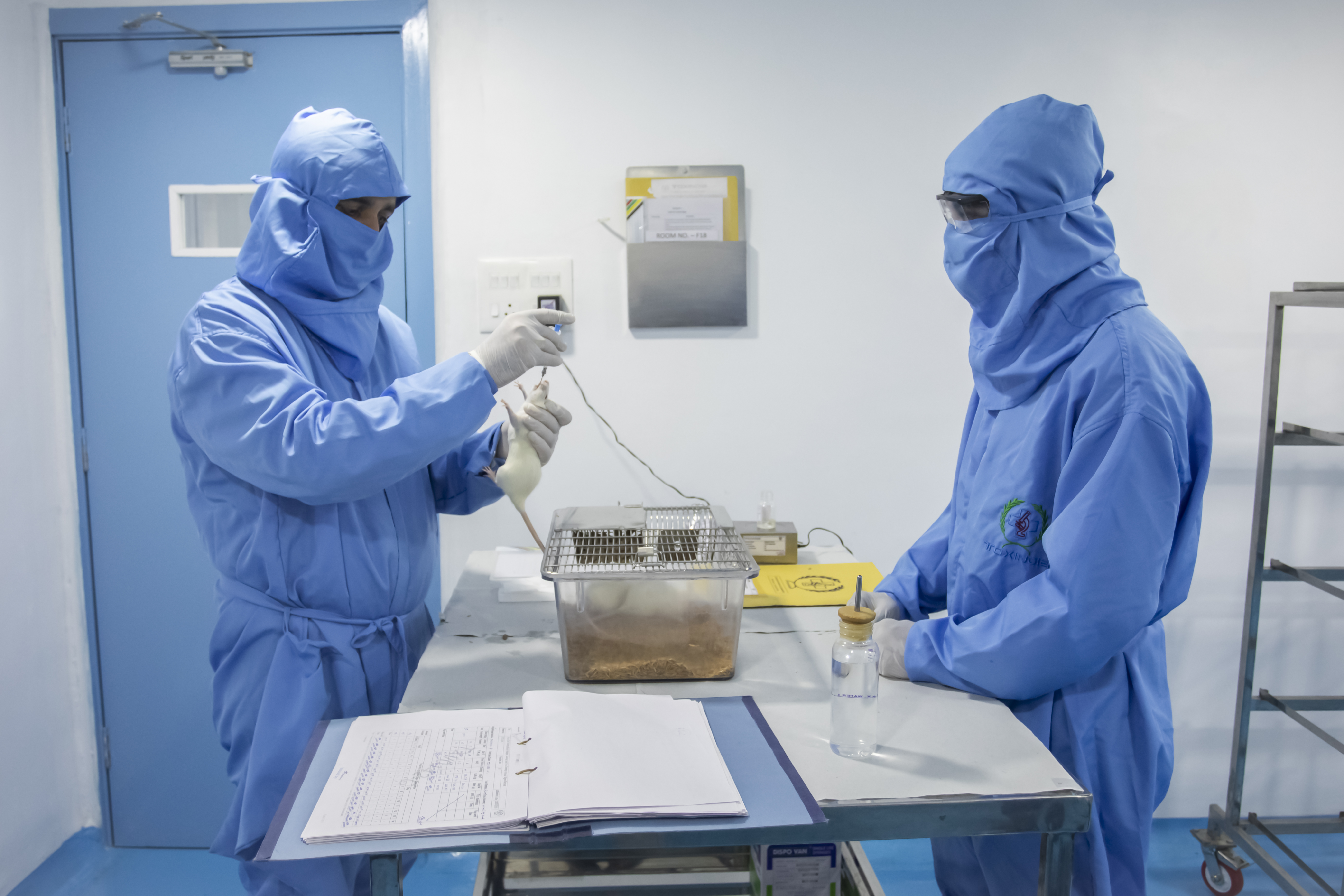 Histopathology Image 1