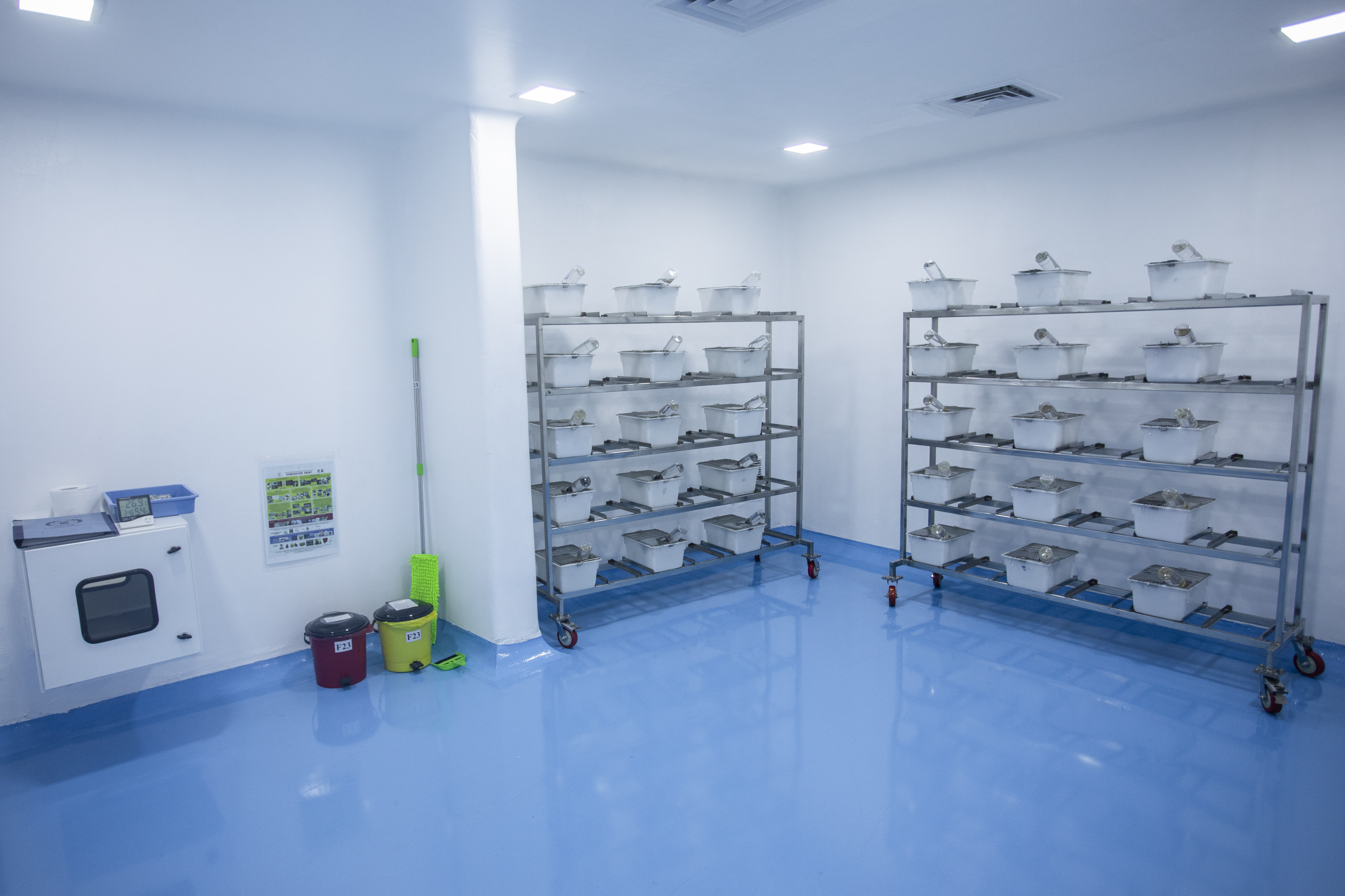 Histopathology Image 1