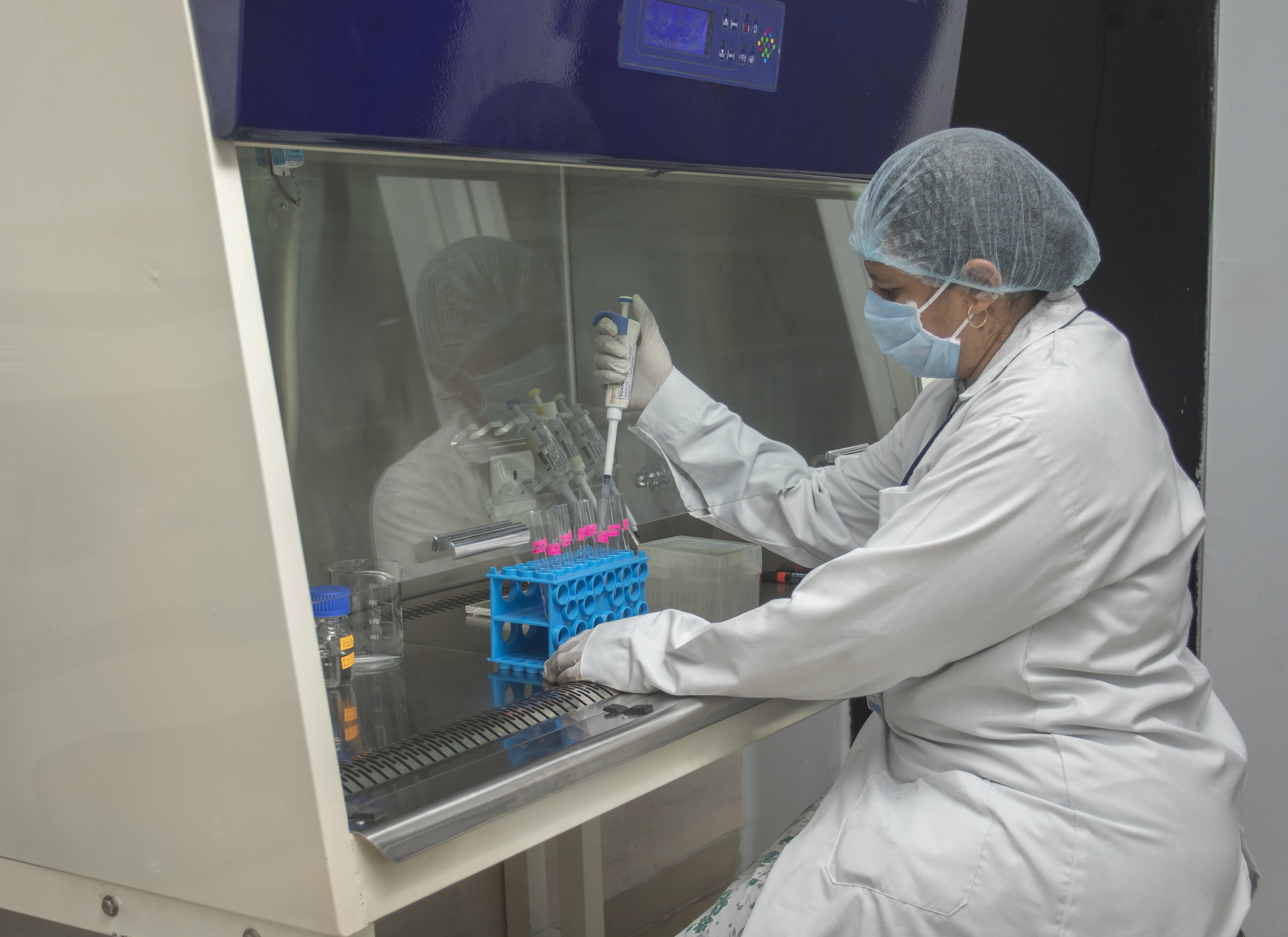 Histopathology Image 1