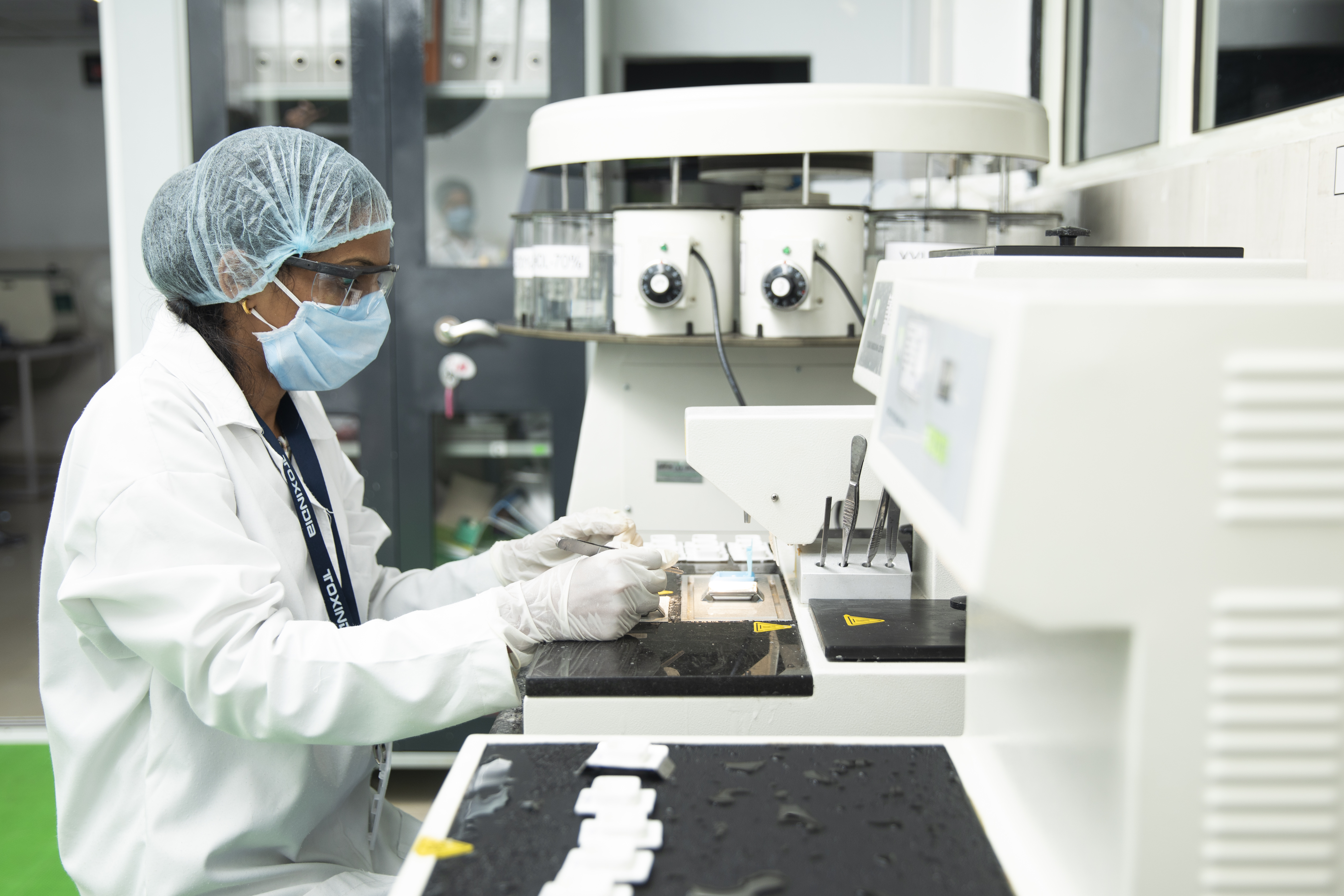 Histopathology Image 1