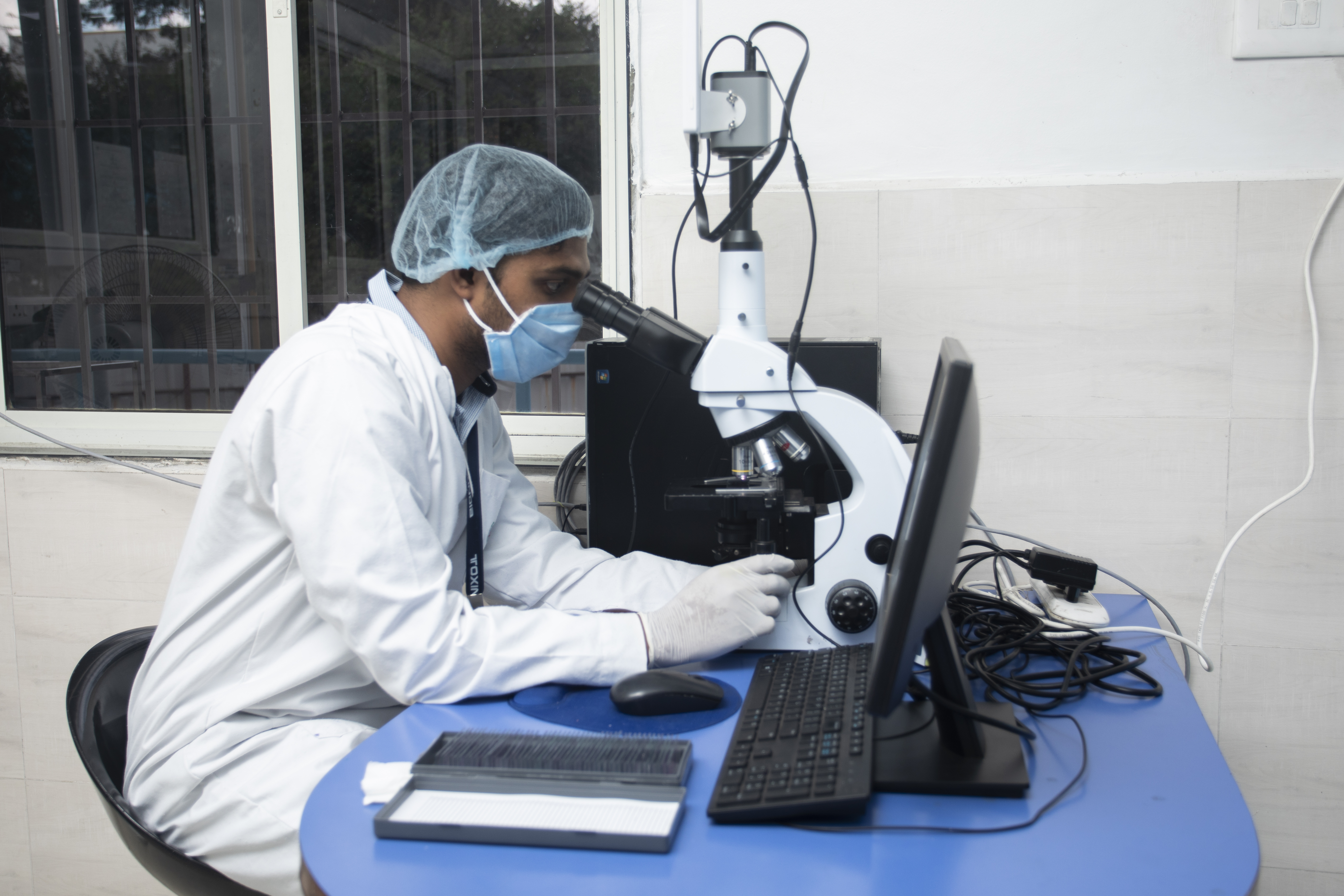 Histopathology Image 2